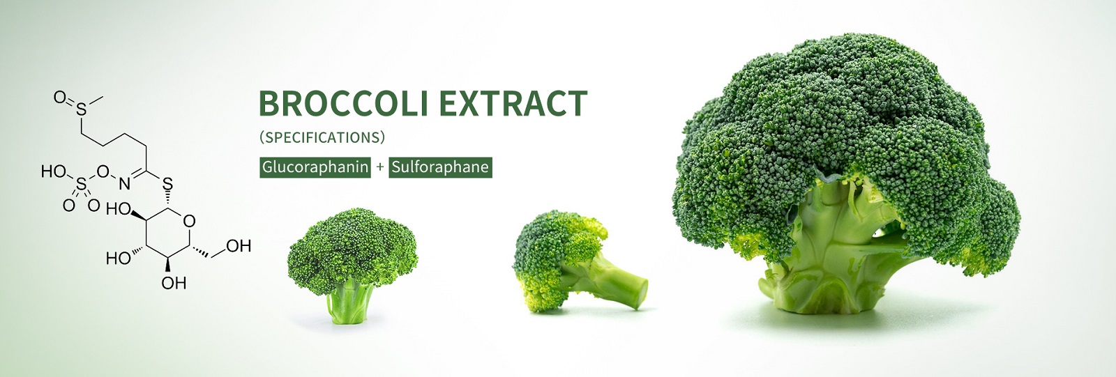 broccoli extract glucoraphanin Sulforaphane