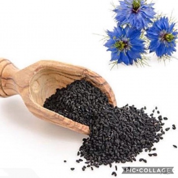 Nigella Sativa L. extract