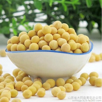 Soybean extract