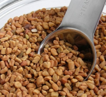 Fenugreek Extract